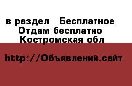  в раздел : Бесплатное » Отдам бесплатно . Костромская обл.